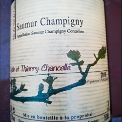 Saumur Champigny – Domaine Bourdin Chancelle